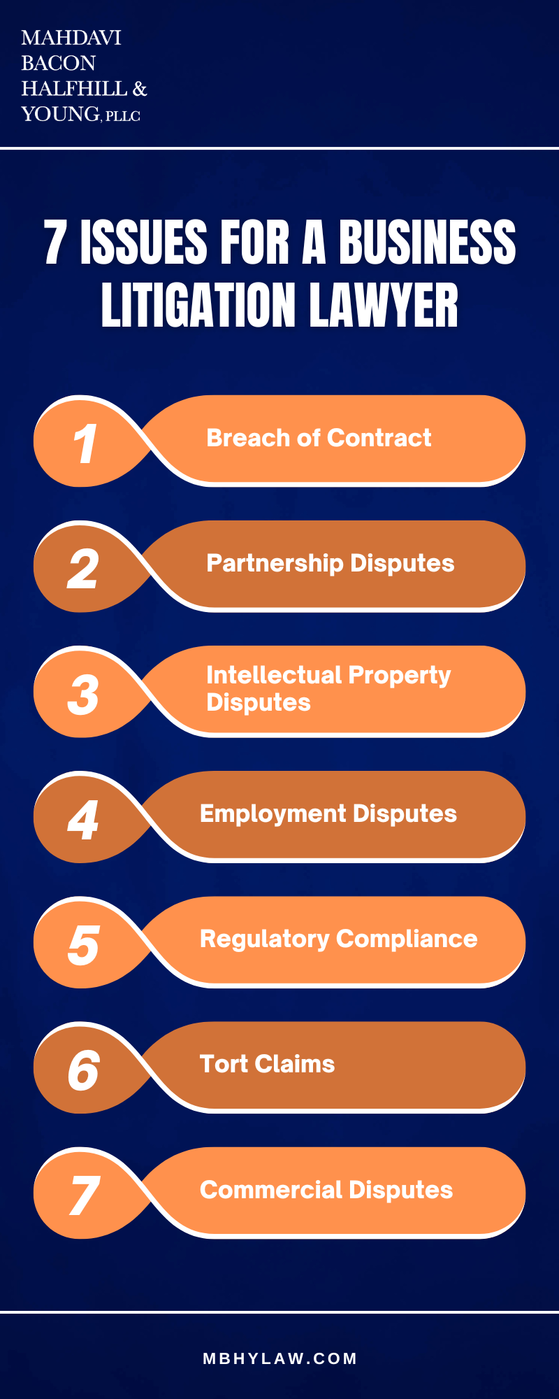 7 Issues For A Business Litigation Lawyer Infographic